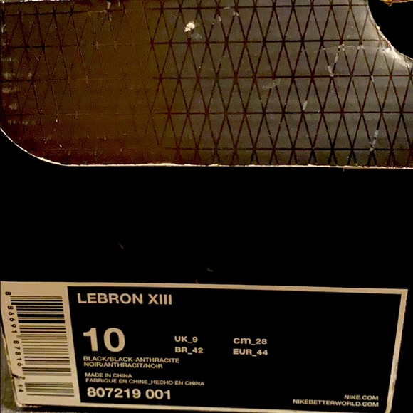 Nike LeBron 13 Black Lion - Picture 4 of 4